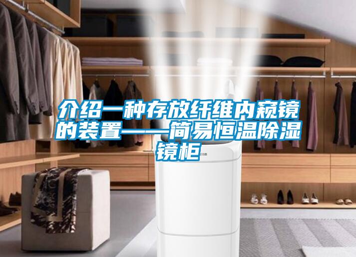 介紹一種存放纖維內窺鏡的裝置——簡易恒溫91看片在线下载鏡櫃