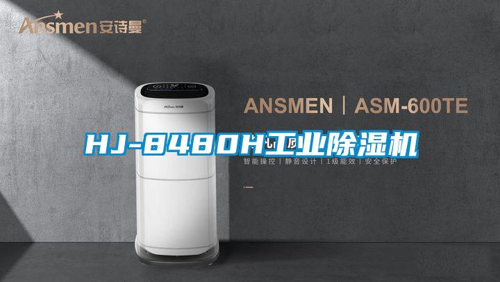 HJ-8480H工業91看片在线下载機