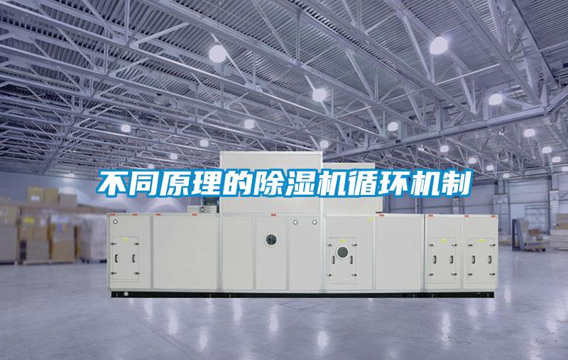 不同原理的91看片在线下载機循環機製