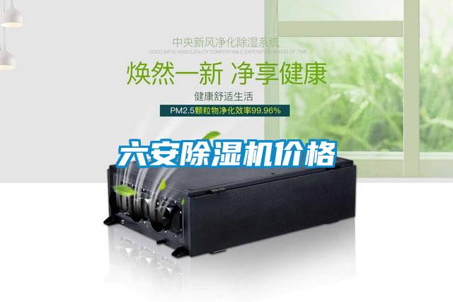 六安91看片在线下载機價格