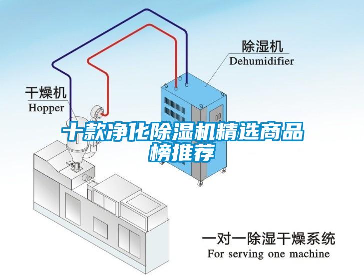十款淨化91看片在线下载機精選商品榜推薦