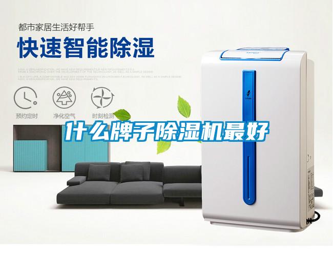 什麽牌子91看片在线下载機最好