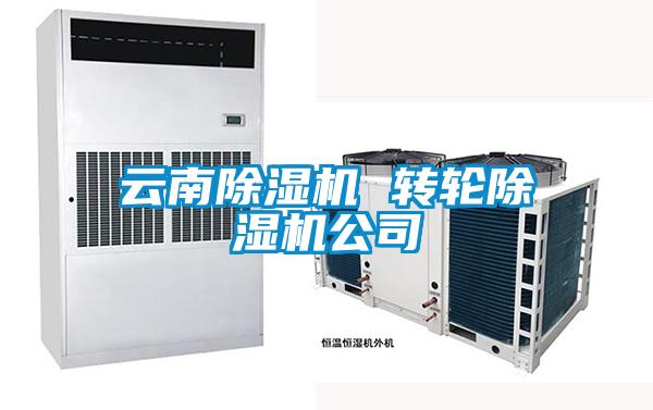 雲南91看片在线下载機 轉輪91看片在线下载機公司