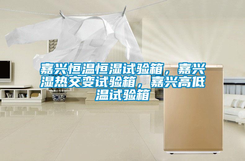 嘉興恒溫恒濕試驗箱，嘉興濕熱交變試驗箱，嘉興高低溫試驗箱