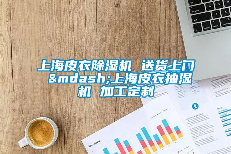 上海皮衣91看片在线下载機 送貨上門 —上海皮衣抽濕機 加工定製
