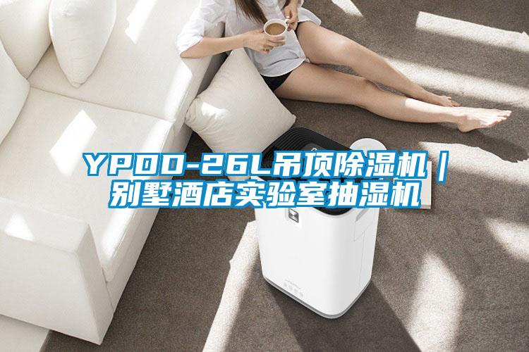 YPDD-26L吊頂91看片在线下载機｜別墅酒店實驗室抽濕機