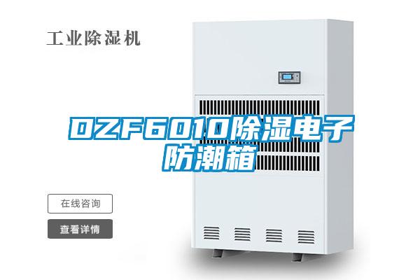 DZF601091看片在线下载電子防潮箱