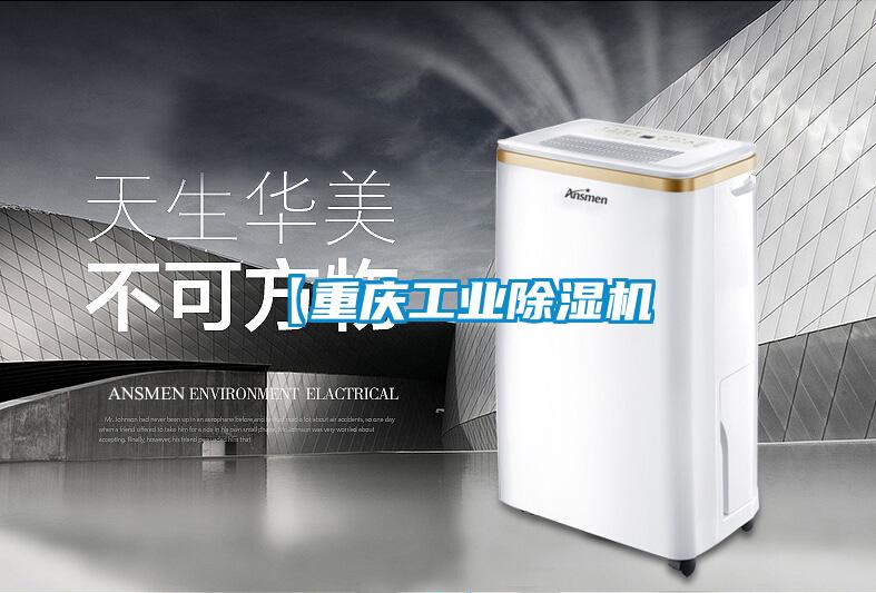 【重慶工業91看片在线下载機