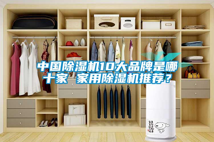 中國91看片在线下载機10大品牌是哪十家 家用91看片在线下载機推薦？