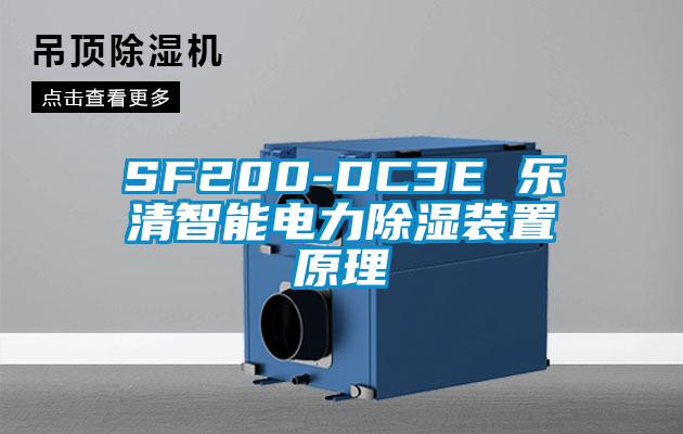 SF200-DC3E 樂清智能電力91看片在线下载裝置原理