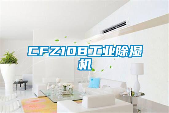 CFZ10B工業91看片在线下载機
