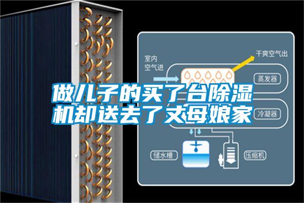 做兒子的買了台91看片在线下载機卻送去了丈母娘家