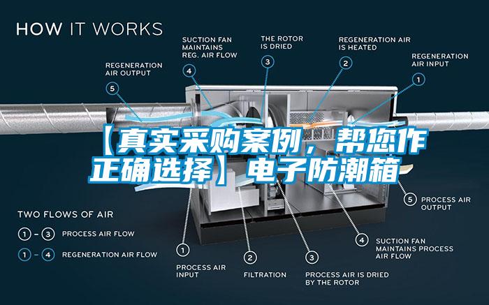 【真實采購案例，幫您作正確選擇】電子防潮箱