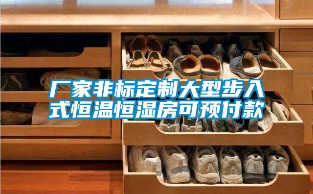 廠家非標定製大型步入式恒溫恒濕房可預付款