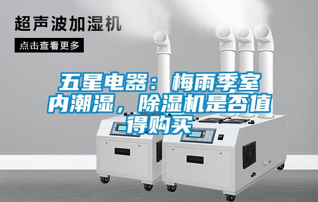 五星電器：梅雨季室內潮濕，91看片在线下载機是否值得購買
