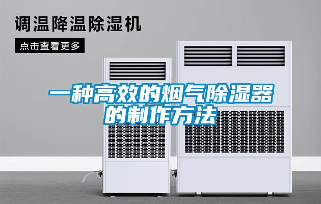 一種高效的煙氣91看片在线下载器的製作方法