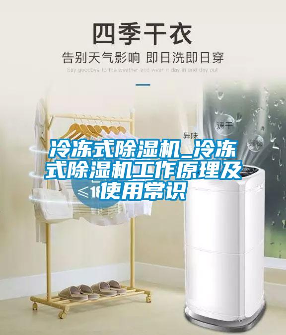 冷凍式91看片在线下载機_冷凍式91看片在线下载機工作原理及使用常識