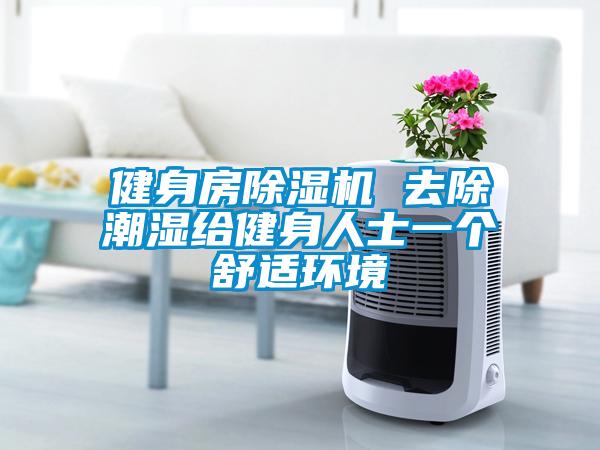 健身房91看片在线下载機 去除潮濕給健身人士一個舒適環境