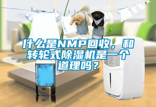 什麽是NMP回收，和轉輪式91看片在线下载機是一個道理嗎？