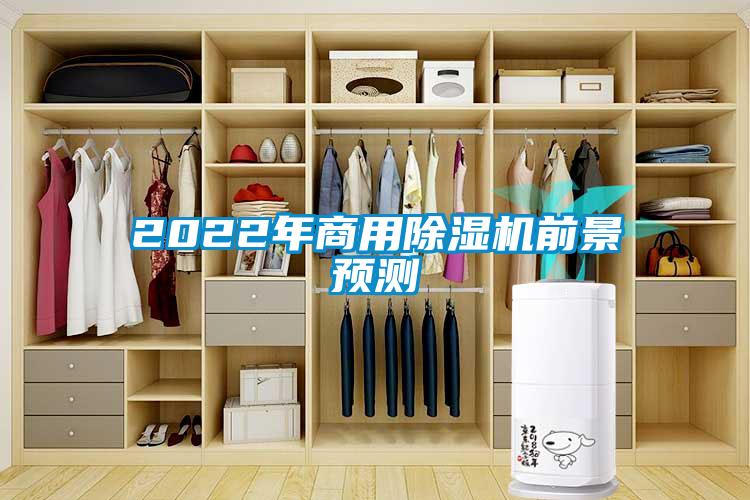 2022年商用91看片在线下载機前景預測