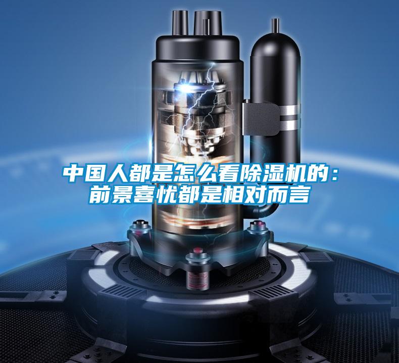 中國人都是怎麽看91看片在线下载機的：前景喜憂都是相對而言