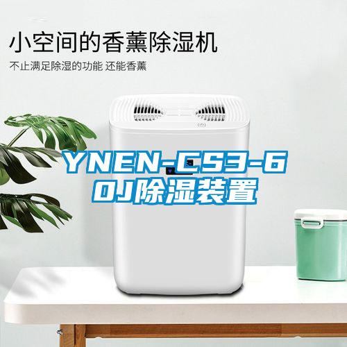 YNEN-CS3-60J91看片在线下载裝置