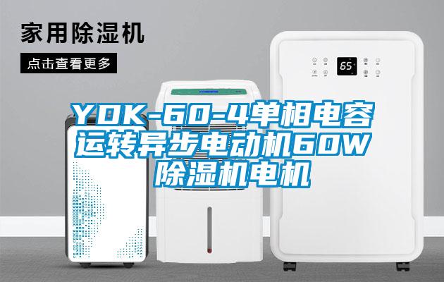 YDK-60-4單相電容運轉異步電動機60W 91看片在线下载機電機