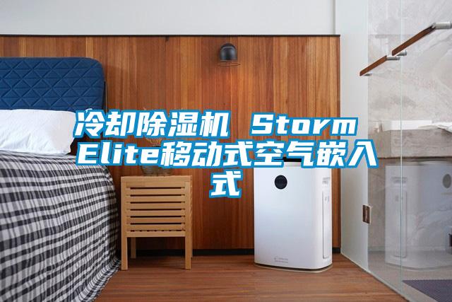 冷卻91看片在线下载機 Storm Elite移動式空氣嵌入式