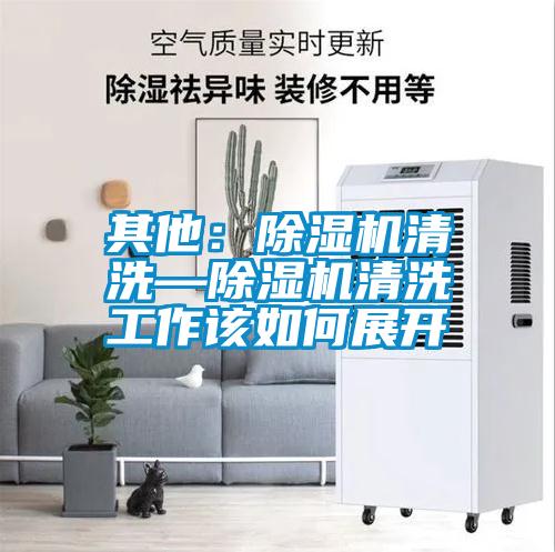 其他：91看片在线下载機清洗—91看片在线下载機清洗工作該如何展開