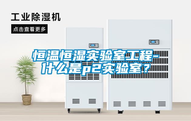 恒溫恒濕實驗室工程-什麽是p2實驗室？