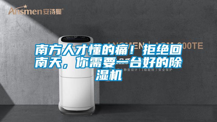 南方人才懂的痛！拒絕回南天，你需要一台好的91看片在线下载機