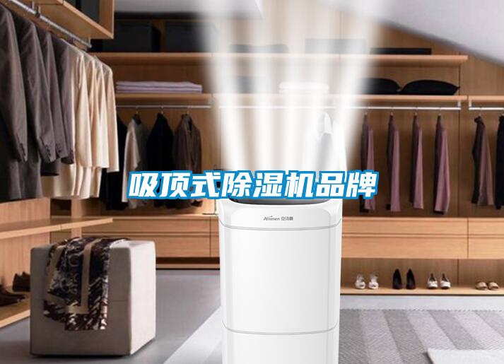 吸頂式91看片在线下载機品牌