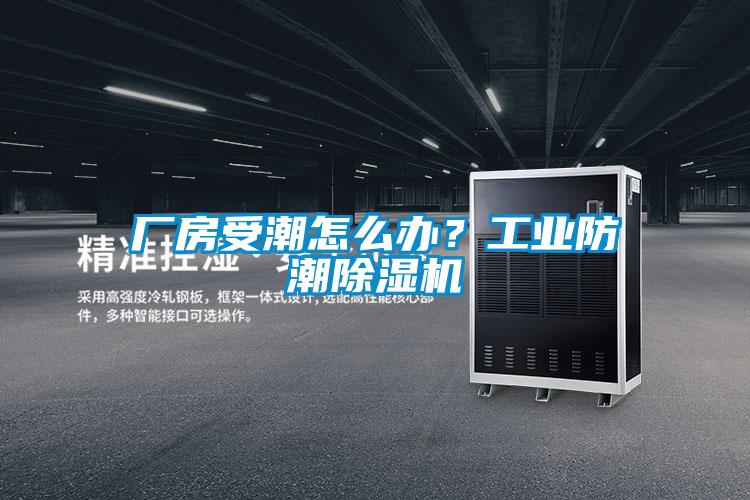 廠房受潮怎麽辦？工業防潮91看片在线下载機