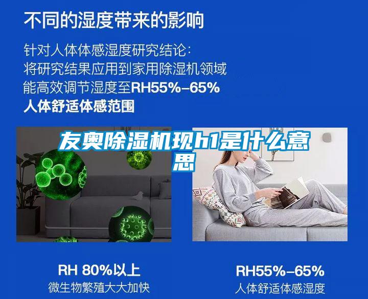 友奧91看片在线下载機現h1是什麽意思