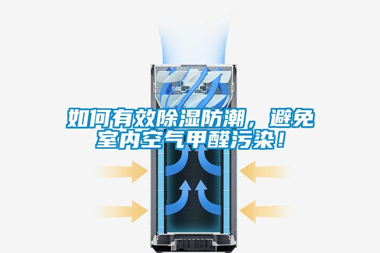 如何有效91看片在线下载防潮，避免室內空氣甲醛汙染！