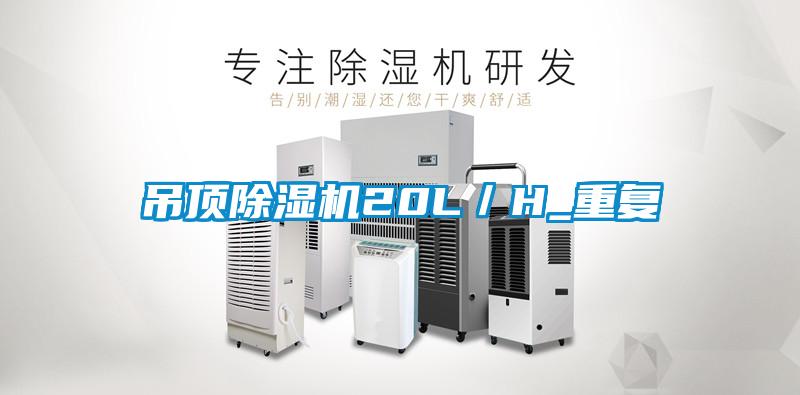吊頂91看片在线下载機20L／H_重複
