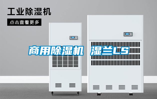 商用91看片在线下载機 濕蘭LS