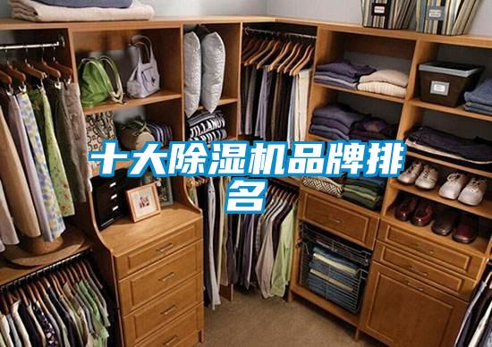 十大91看片在线下载機品牌排名