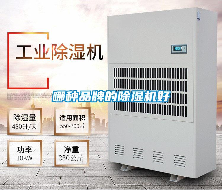 哪種品牌的91看片在线下载機好