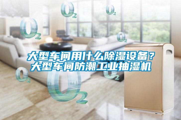 大型車間用什麽91看片在线下载設備？大型車間防潮工業抽濕機
