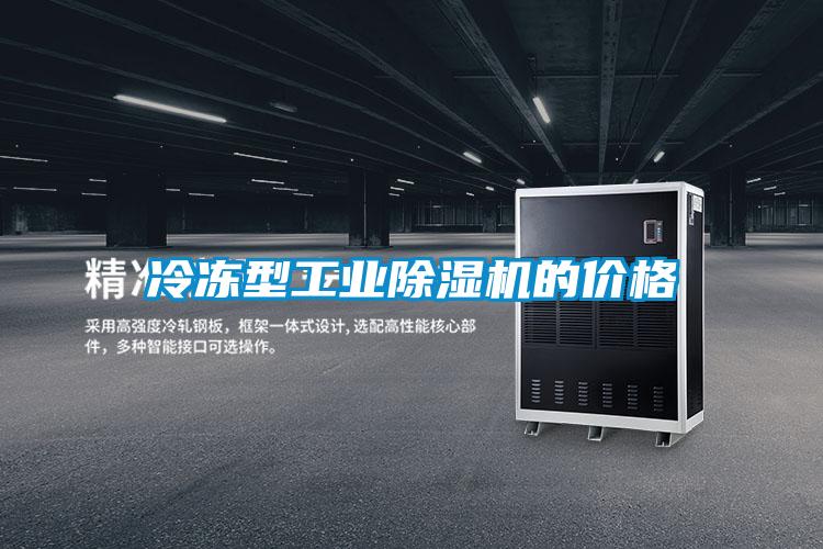冷凍型工業91看片在线下载機的價格