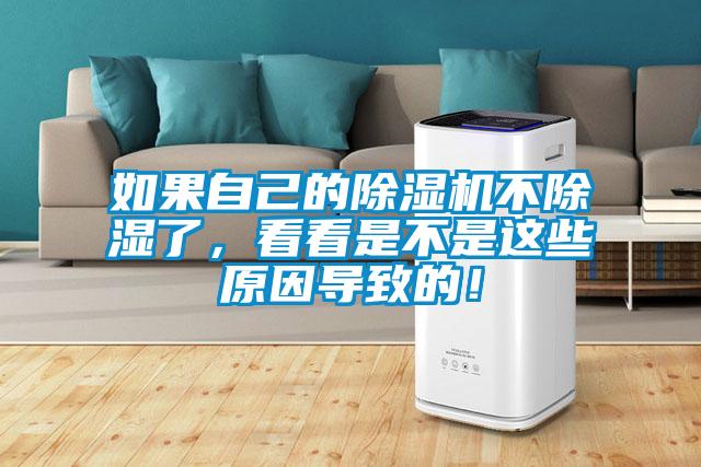 如果自己的91看片在线下载機不91看片在线下载了，看看是不是這些原因導致的！