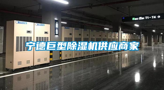 寧德巨型91看片在线下载機供應商家