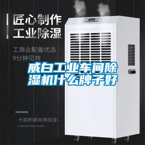 威白工業車間91看片在线下载機什麽牌子好