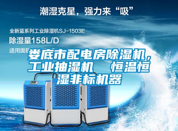 婁底市配電房91看片在线下载機，工業抽濕機  恒溫恒濕非標機器