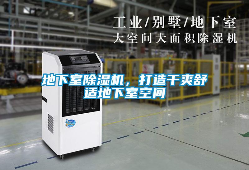 地下室91看片在线下载機，打造幹爽舒適地下室空間