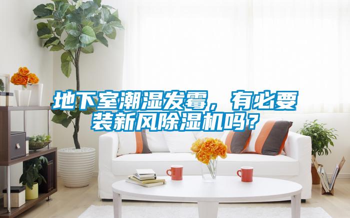 地下室潮濕發黴，有必要裝新風91看片在线下载機嗎？
