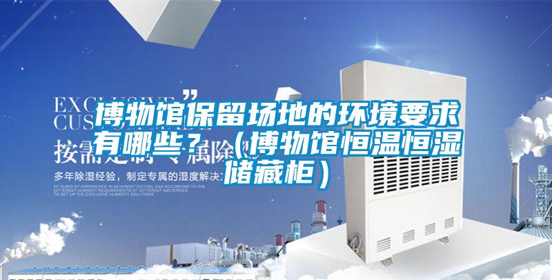 博物館保留場地的環境要求有哪些？（博物館恒溫恒濕儲藏櫃）