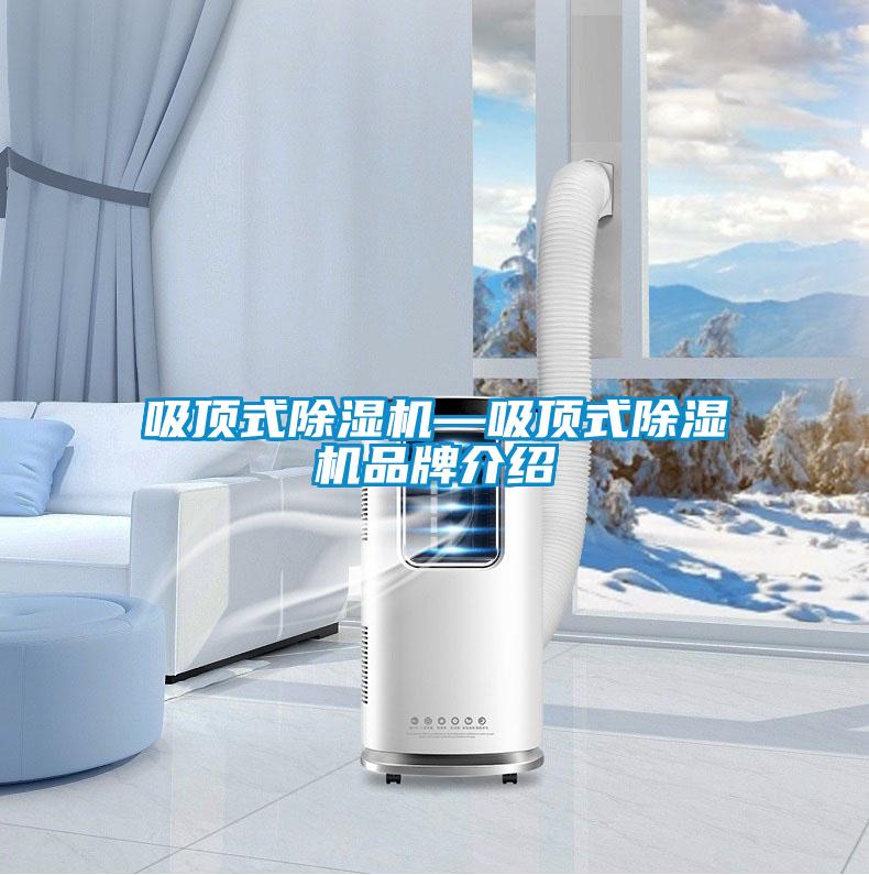 吸頂式91看片在线下载機—吸頂式91看片在线下载機品牌介紹
