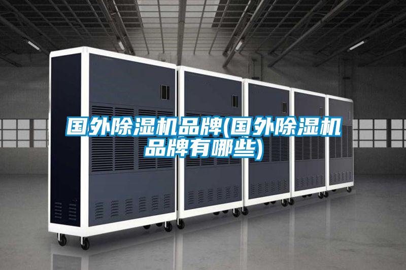 國外91看片在线下载機品牌(國外91看片在线下载機品牌有哪些)
